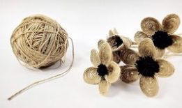 黃麻豆,营养丰富的健康食材探索